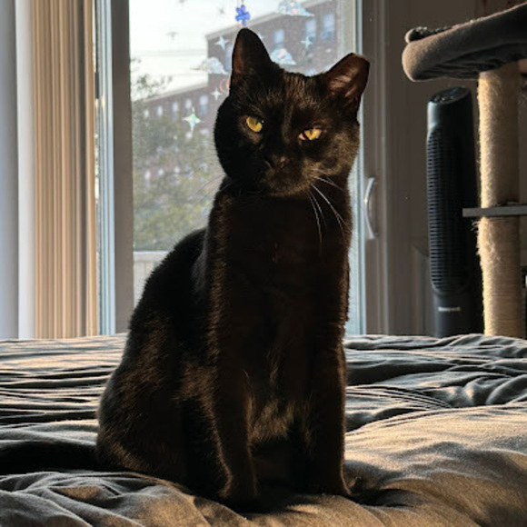 Meet the Posher Other - Meet your Posher, Dana